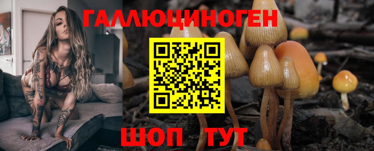 Светлоград  МАРИХУАНА  Кокаин  Гашиш  Вход с VPN  Меф МЯУ МЯУ кристаллы 