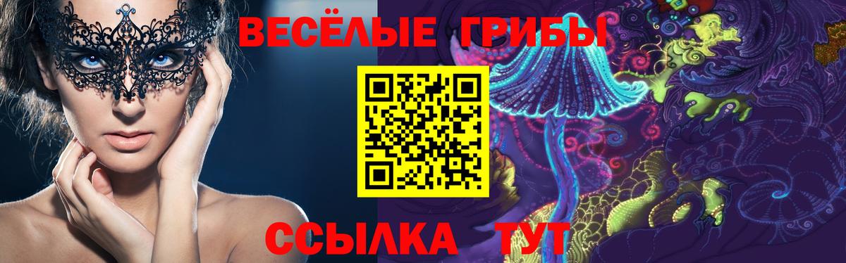 Псилоцибиновые грибы MAGIC MUSHROOMS  Вход с VPN  Галлюциногенные грибы Psilocybe  Светлоград 